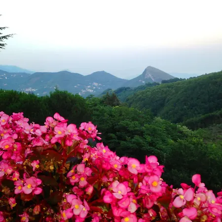 Scapolatiello 4* Кава-де-Тиррени